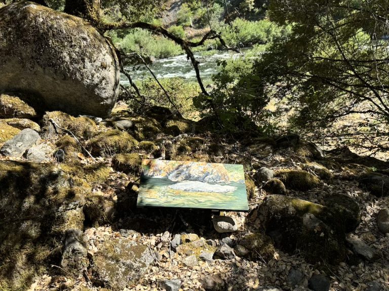 Amanita's PAINTING at BRANDONS BAR